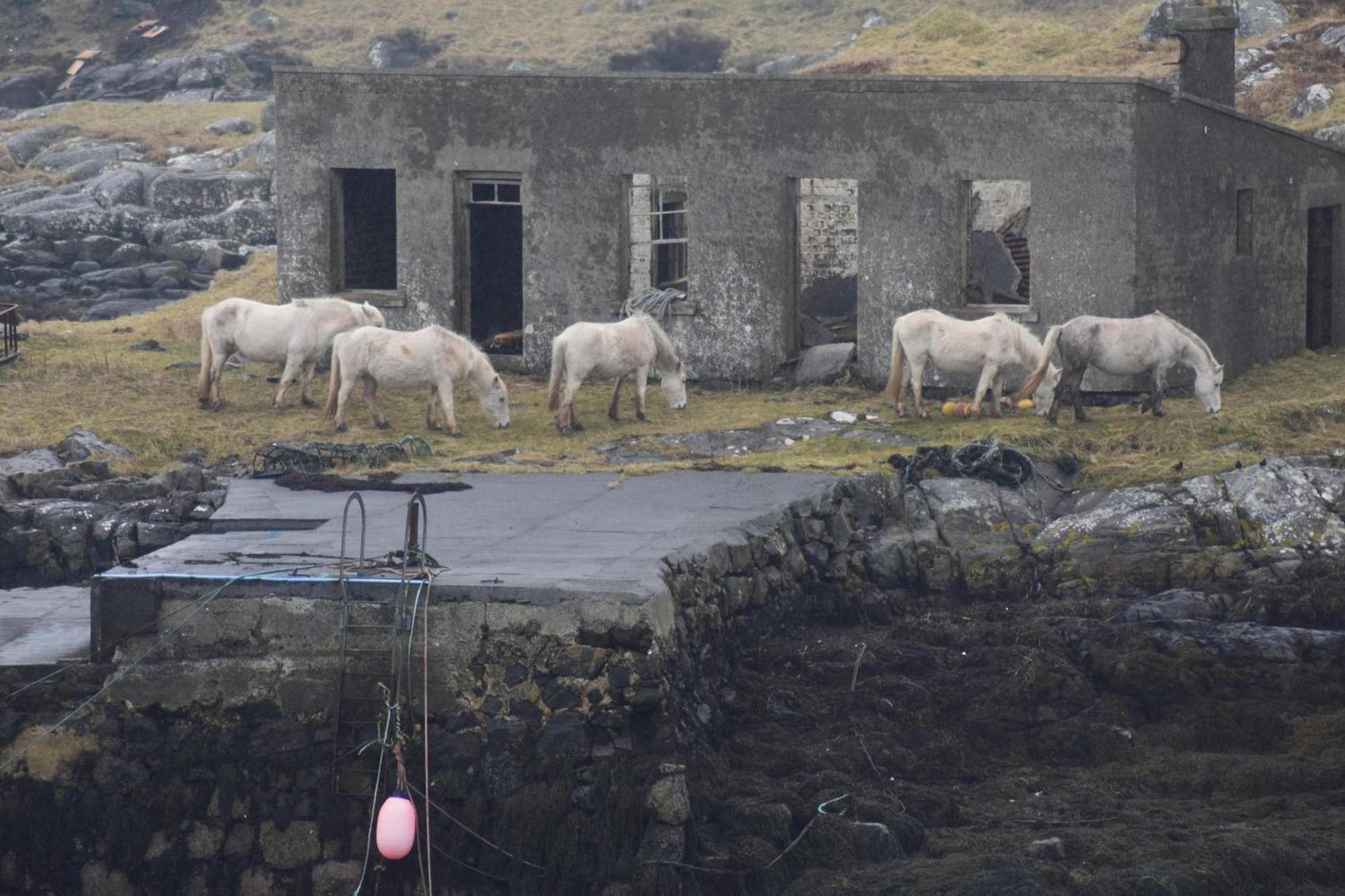 Glamping Pod For 2 Pod Beag Na Haun Eriskay Villa Exterior photo